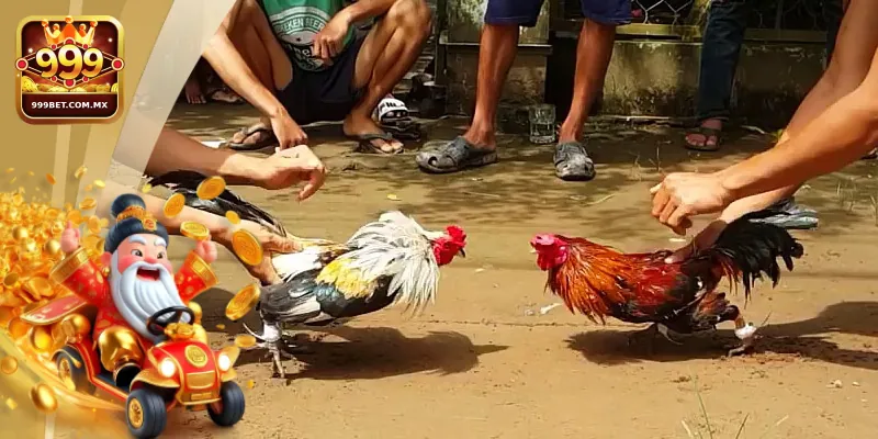 Tổng Hợp Kinh Nghiệm Chơi Đá Gà Tre Cho Tân Thủ Tại 999bet 3 Các bí kíp đá gà tre hiệu quả được chia sẻ từ cao thủ 999bet